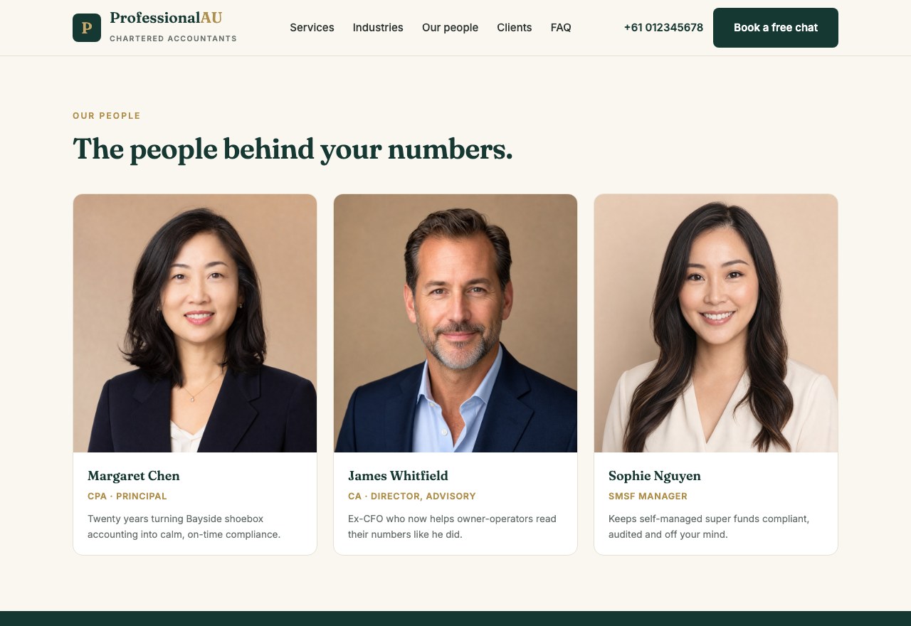 Professional firm · concept — screenshot 3